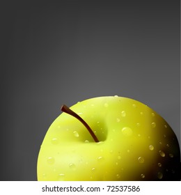 vector apple illustration