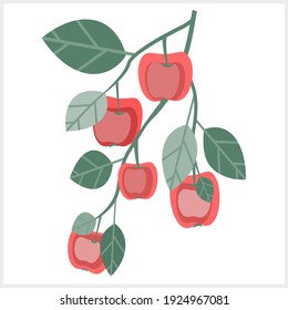 Vektorgrafik. Apfel und Blatt auf einem Zweig. Nahtloses Muster. Blumenvorlage.