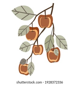 Vector. Apple and leaf on a twig. Seamless pattern. Floral template.
