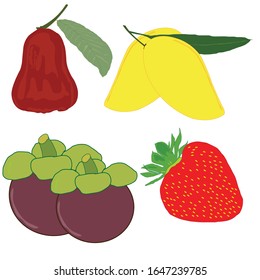 Vector Apple Mango Mangosteen Apple