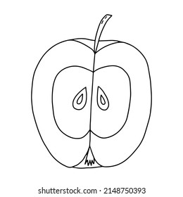 Vector apple in section doodle illustration