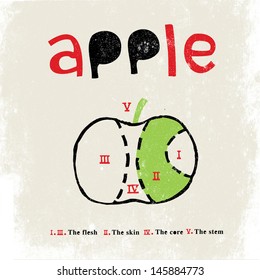 Vector apple slice