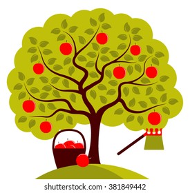 vector apple tree with basket of apples and fruit picker isolated on white background