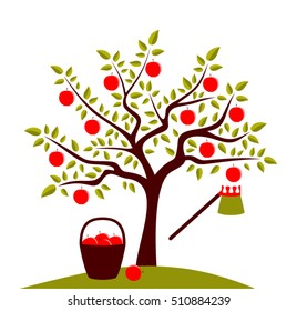 vector apple tree with basket of apples and fruit picker isolated on white background