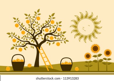 vector apple tree, baskets of apples and sunflowers