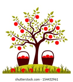 vector apple tree and baskets of apples