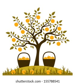 vector apple tree and baskets of apples