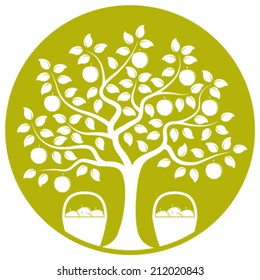 vector apple tree and baskets of apples isolated on green round