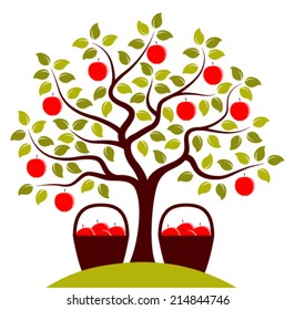 vector apple tree and baskets of apples