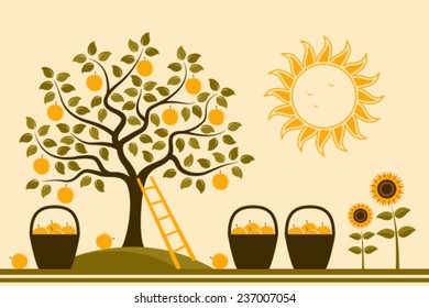 vector apple tree, baskets of apples and sunflowers