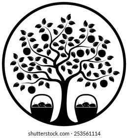 vector apple tree and baskets of apples in round isolated on white background