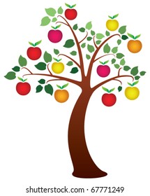 vector apple tree with fruits