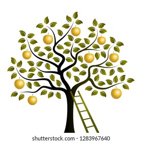 vector apple tree with golden apples and ladder isolated on white background