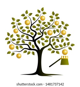 vector apple tree with golden apples and fruit picker isolated on white background