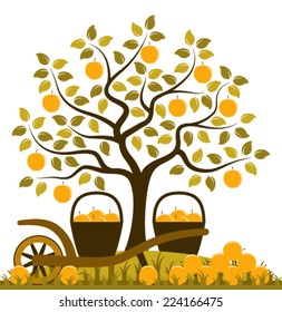 vector apple tree, hand barrow with basket of apples and pile of apples