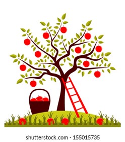 vector apple tree, ladder and basket of apples