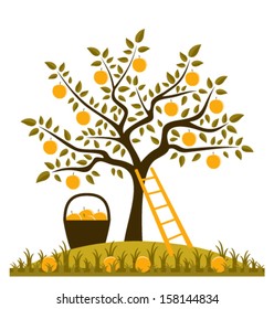 vector apple tree, ladder and basket of apples