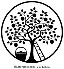 vector apple tree, ladder and basket of apples in round isolated on white background