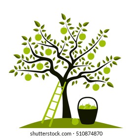 vector apple tree, ladder and basket of apples isolated on white background
