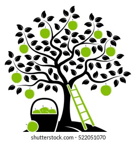 Vektorapfelbaum, Leiter und Korb von Äpfeln einzeln auf weißem Hintergrund