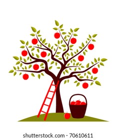 vector apple tree, ladder and basket of apples