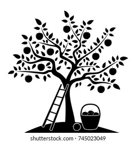 vector apple tree, ladder and basket of apples isolated on white background