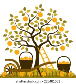 vector apple tree, ladder and hand barrow with basket of apples