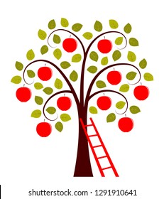 vector apple tree and ladder isolated on white background