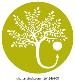 vector apple tree life cycle isolated on green round