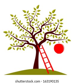 vector apple tree with one big apple and ladder isolated on white background
