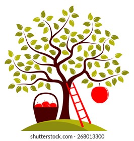 vector apple tree with one big apple, ladder and basket of apples isolated on white background