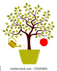 vector apple tree with one big apple in pot and watering can isolated on white background