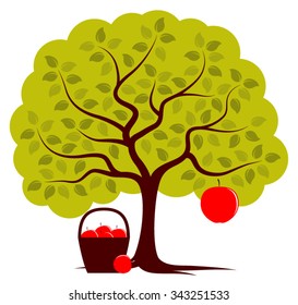 vector apple tree with one big apple and basket of apples isolated on white background
