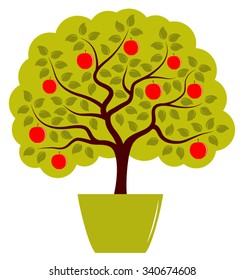vector apple tree in pot isolated on white background