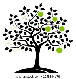 vector apple tree in two seasons isolated on white background