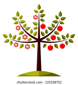 vector apple tree in two seasons isolated on white background