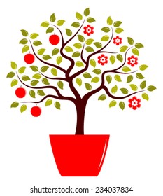 vector apple tree in two seasons in pot isolated on white background