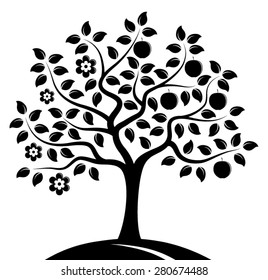 vector apple tree in two seasons isolated on white background