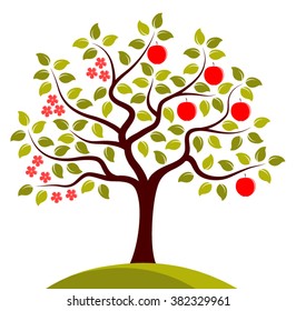 vector apple tree in two seasons isolated on white background