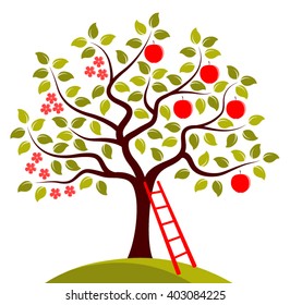 vector apple tree in two seasons and ladder isolated on white background