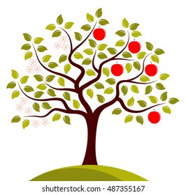 vector apple tree in two seasons isolated on white background