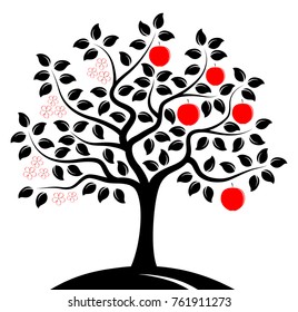 vector apple tree in two seasons isolated on white background