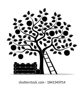 vector apple tree, wooden crate of apples and ladder isolated on white background