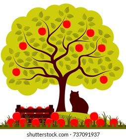 vector apple tree, wooden crate of apples and cat isolated on white background