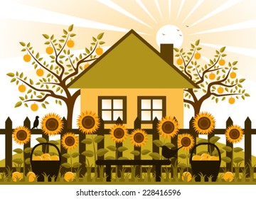 vector apple trees, cottage and picket fence with sunflowers and baskets of apples