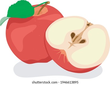 vector apple for your logo or design purposes