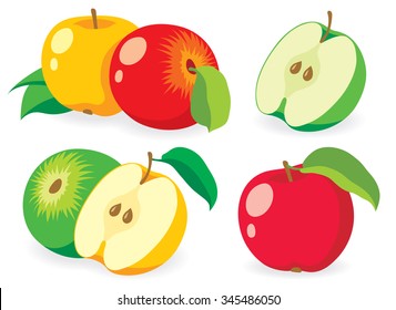 Vector apples. Fresh apple fruits of various color, collection of vector illustrations