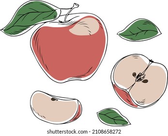 Vector apples in graphic style on a white background. 