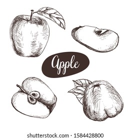 Vector apples with leaves, Apple slices. Hand drawing. Vector illustration of an Apple. Isolated background. Can be used to pack juice, jam, menus, recipes, logo.