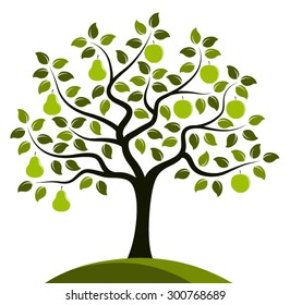 vector apples and pears on one tree isolated on white background